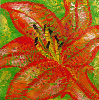 Lilium10