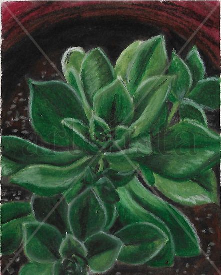 Suculenta Pastel Paper Floral Painting