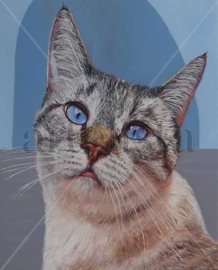 MI GATO LULO DEL BARRIO DE SAN SEBASTIÁN EN SANTA CRUZ DE LA PALMA Oil Canvas Animals