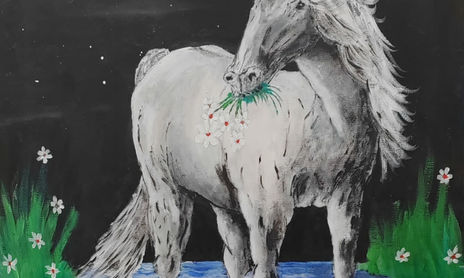 Animales