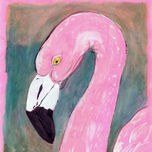 Aves Birds thumbnail 1