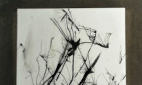 TINTA CHINA "GOTAS DISPERSAS"