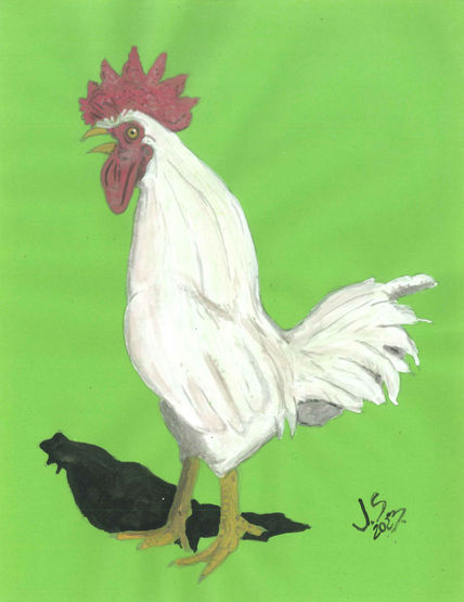 Gallo cantando.