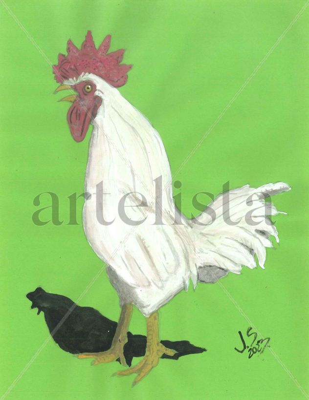 Gallo cantando.