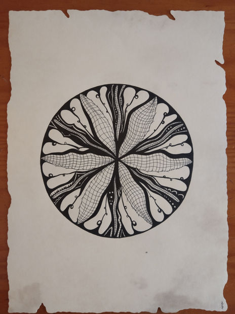 Cercles orgànics 4
