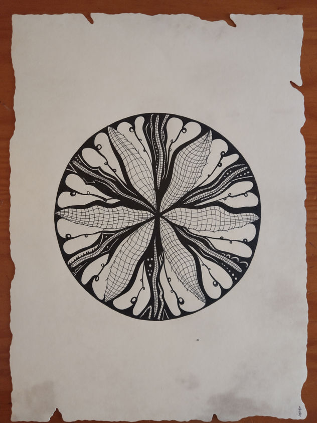 Cercles orgànics 4