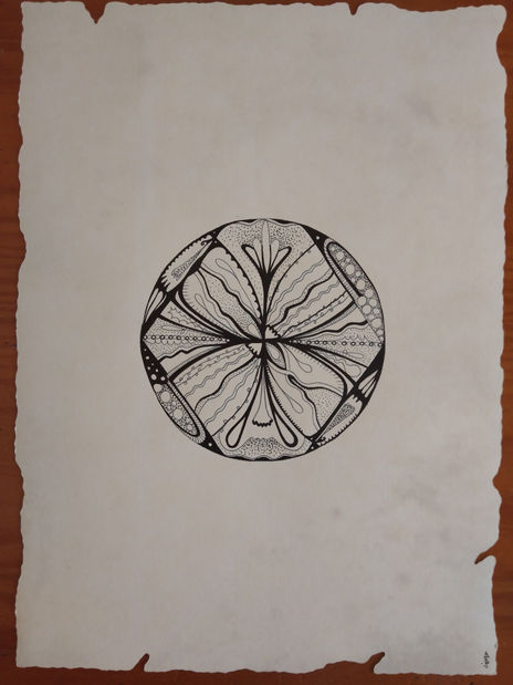 Cercles orgànics 10