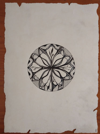 Cercles orgànics 14