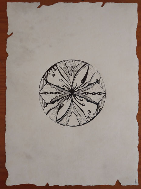 Cercles orgànics 16