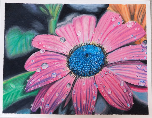 Flor con gotas de rocío Pencil