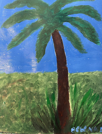 Palmera