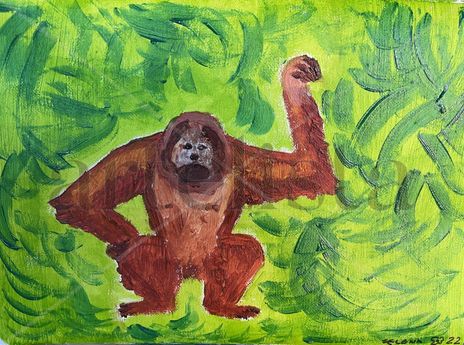 Orangután