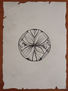 Cercles orgànics 11