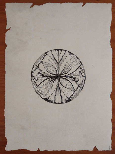 Cercles orgànics 11