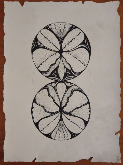 Cercles orgànics 21