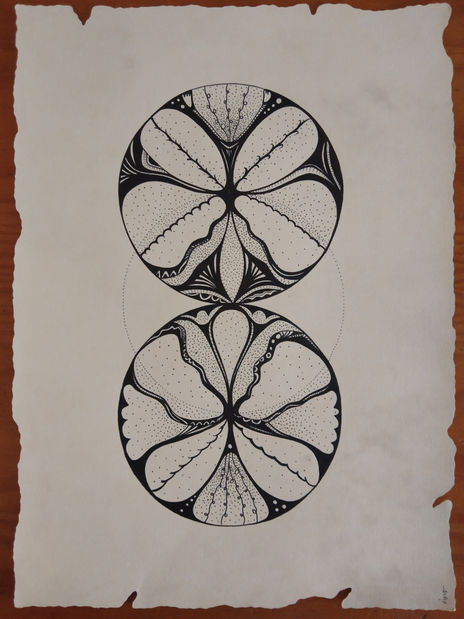 Cercles orgànics 21
