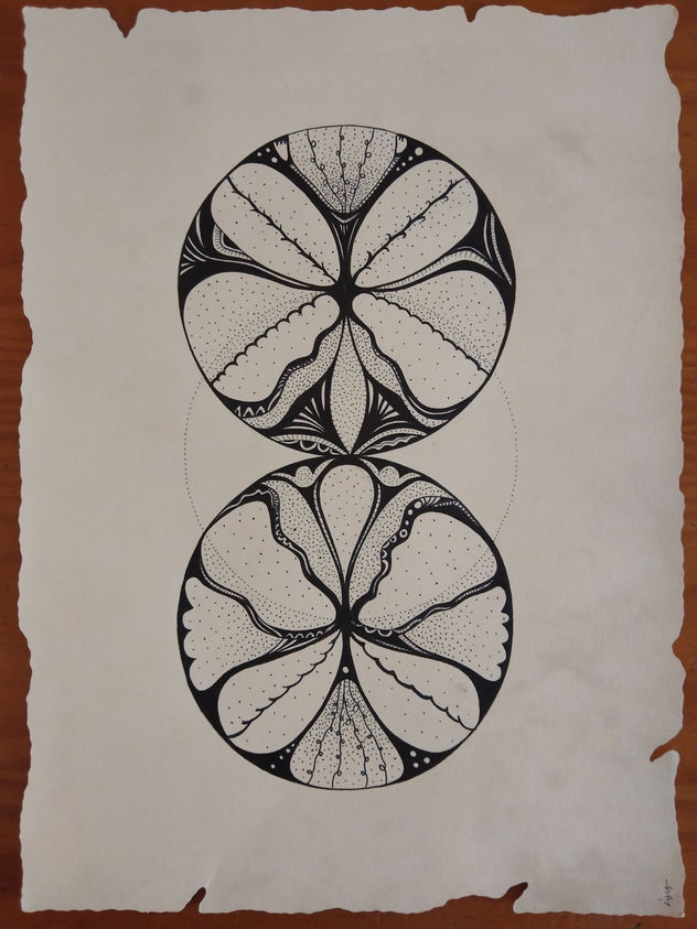 Cercles orgànics 21