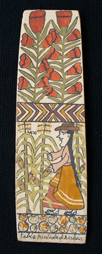 Tablas de Sarhua -  Flora
