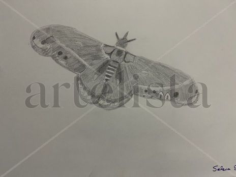 Mariposa nocturna