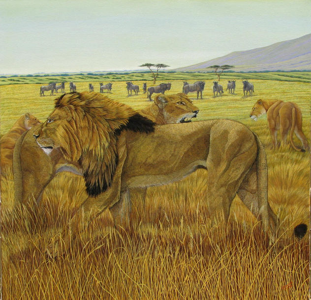 LEONES EN LA MESETA DE WASTEMBERG