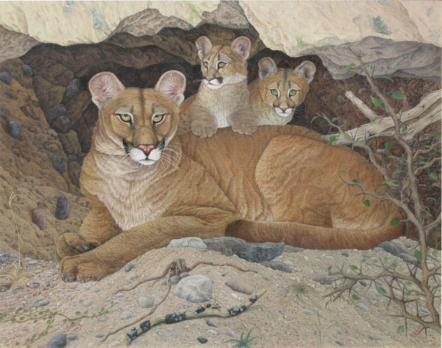 PUMA CON CACHORROS Oil Canvas Animals