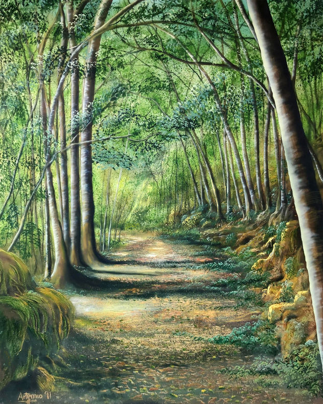 Bosque La Palma Canarias