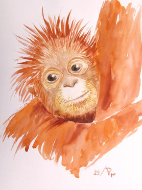 Joven orangután