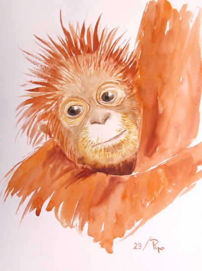 joven orangután Acuarela Papel Animales