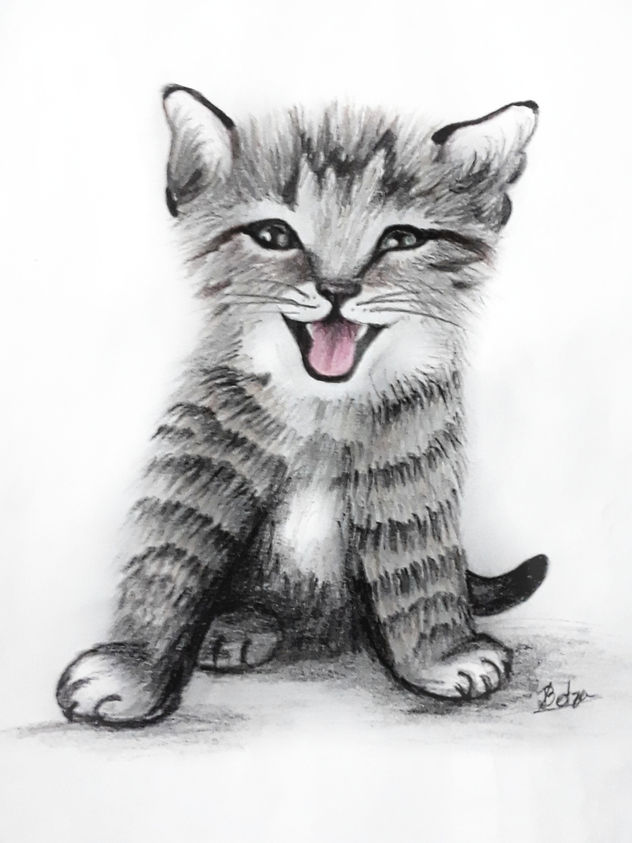 gato feliz
