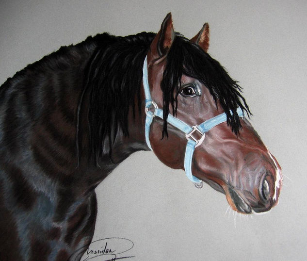 "Destrenzao" Pastel Paper Animals