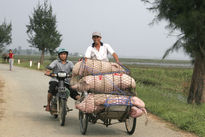 Transporte Mercancías