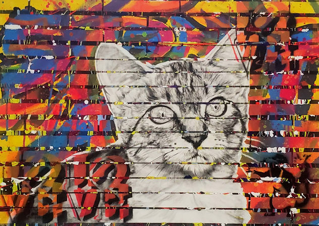 Gato Callejero