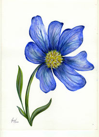 Blue Flower