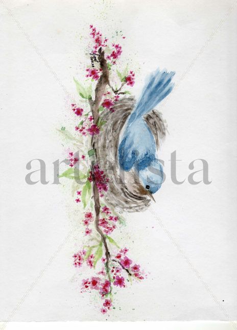 Avecilla Azul