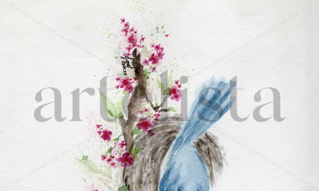 Animales
