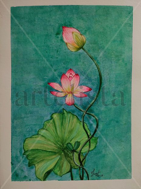 Flor de Loto