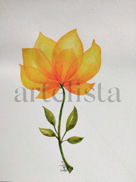 Flor