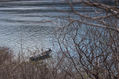 Fisherman