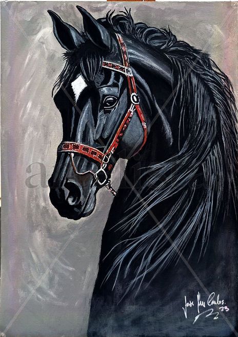 "Mirada"