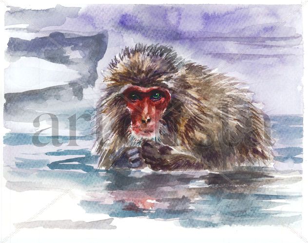 Snow monkey