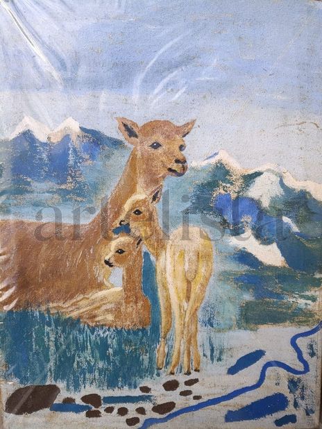 Paisaje con vicuñas...