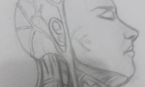 Dibujo anatomico