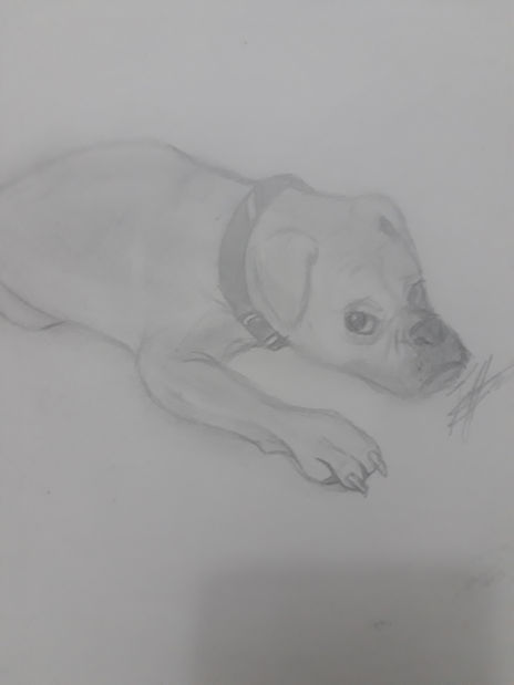 Dibujo anatomico