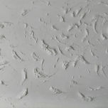 Abstractos thumbnail 1