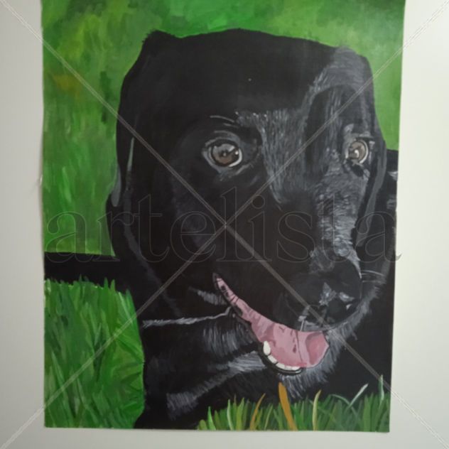 Retrato Labrador