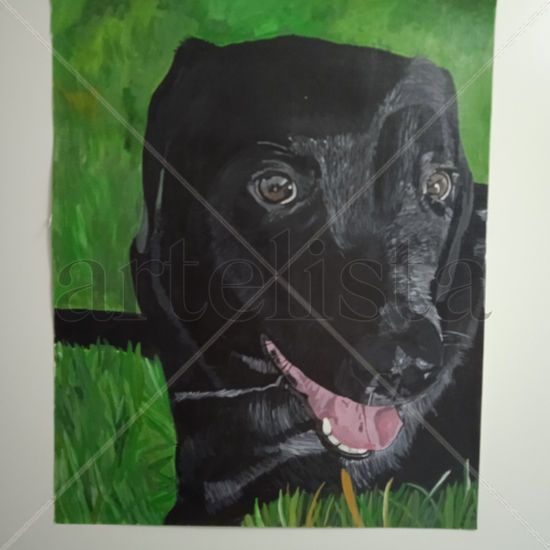 Retrato Labrador Acuarela Papel Animales