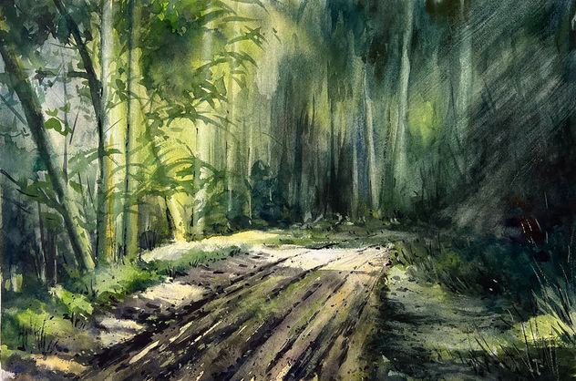 luces en el bosque