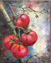 Tomates Verduras