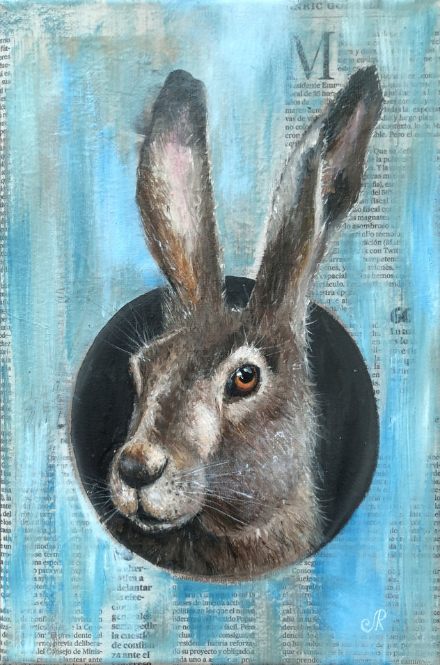 Conejo Animales