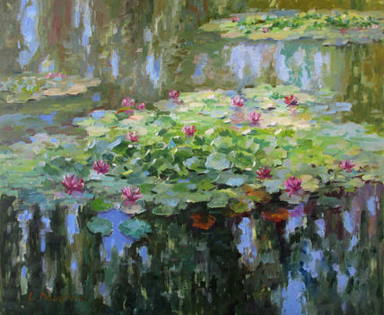 Water lilies in the...